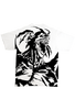 AKIRA FUDO