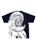 VOID