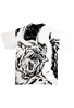 ZODD